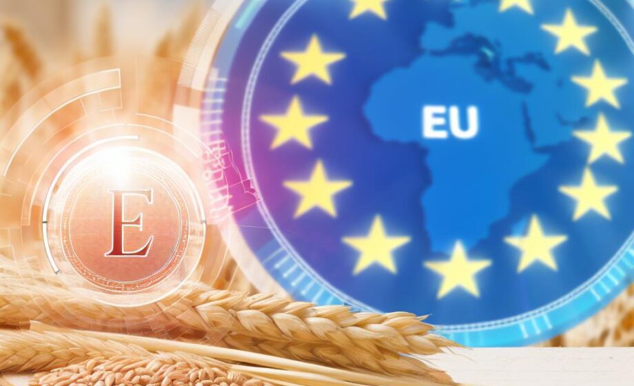 EU-Getreidemarkt steht vor Erholung