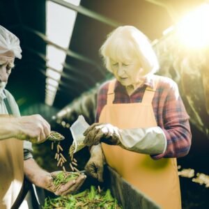„Guter Ernährungszyklus“ startet – Bauern fordern Taten