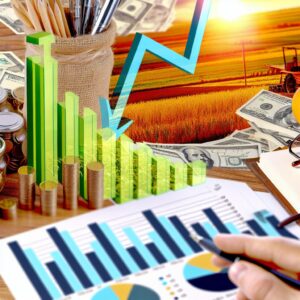 Agrarsektor senkt Schulden um 2,7 % im 1. Quartal 2025