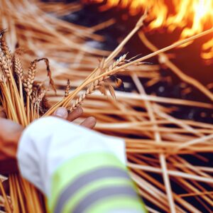 Asaja CLM drängt auf Regeln für Ernte bei Brandgefahr
