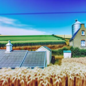 EU erwartet leichte Getreide-Erholung 2025