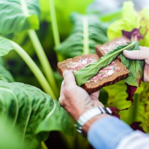 Agro-News für Unternehmen im Ernährungssystem