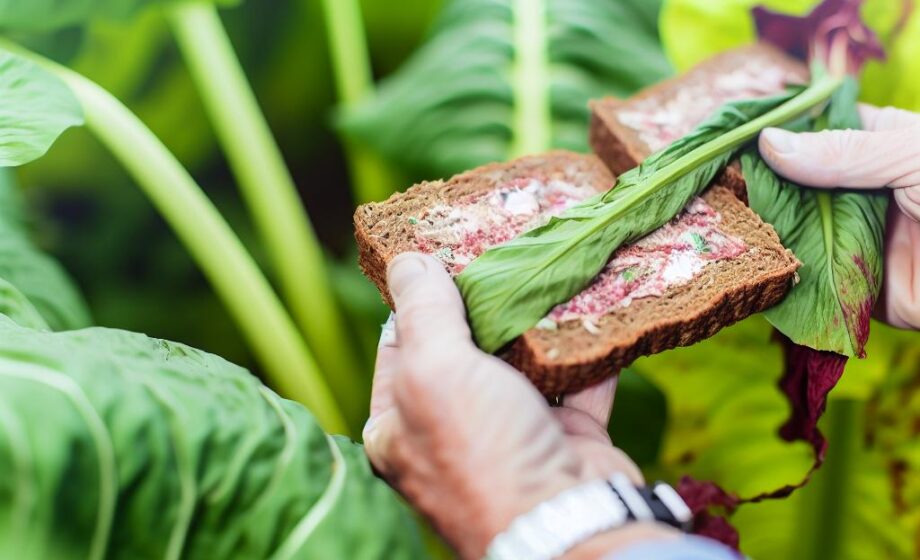 Agro-News für Unternehmen im Ernährungssystem