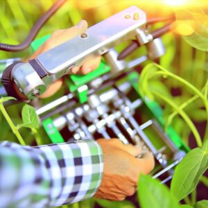 Der Punkt – Agrarinfo für Unternehmen