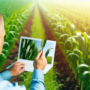 Go2 von Unitree: Einstieg in smarte Landwirtschaft