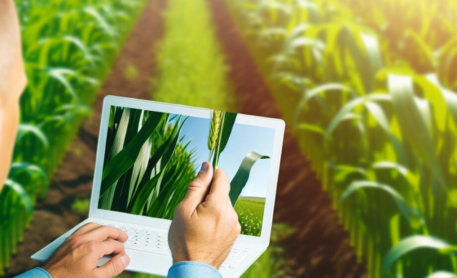 Go2 von Unitree: Einstieg in smarte Landwirtschaft