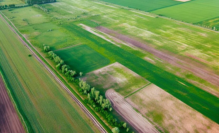 Bodenschutz und Kohlenstoffspeicherung