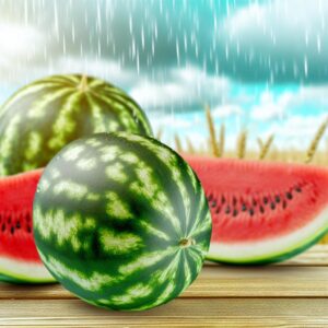 Wassermelonen: Werbeoffensive trifft auf Wetterhürde