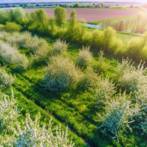 Regenerative Landwirtschaft: Europas nachhaltige Zukunftsvision