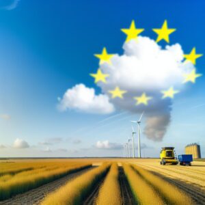 EU kürzt Rapsernte-Prognose für 2025