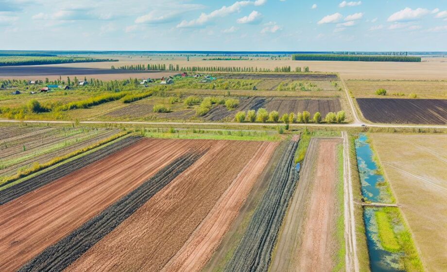 Strategien für Trockenlandwirtschaft und Wassermanagement
