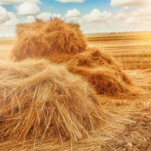 Heu und Stroh: Tauschaktion für Bauern
