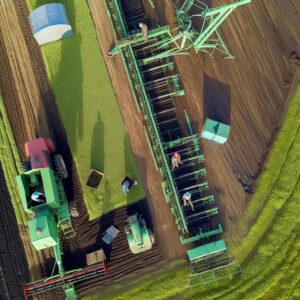Landwirtschaft fordert staatliche „Kohärenz“