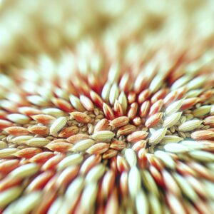 Stagnation am Bio-Getreidemarkt