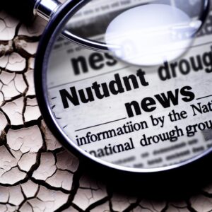 Aktuelle Dürre-News: National Drought Group informiert