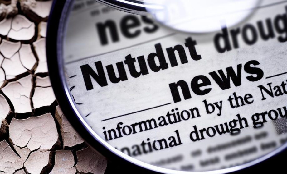 Aktuelle Dürre-News: National Drought Group informiert