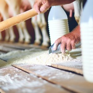 EU-Milchproduktion im zweiten Quartal gestiegen