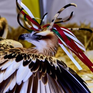 Programm zur Ausstellung autochthoner Rassen in Navarra