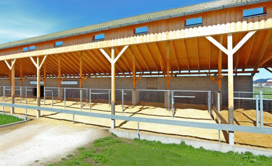 Tierwohlgerechter Stallbau – Leitfaden