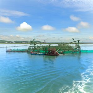Meer und Landwirtschaft: Die neue Innovationsgrenze