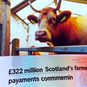 322 Mio. £ für Schottlands Landwirte: Zahlungen starten