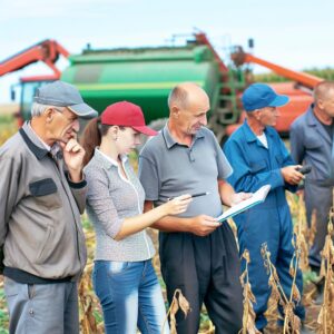 Il Punto – Nachrichten für Agrarunternehmen