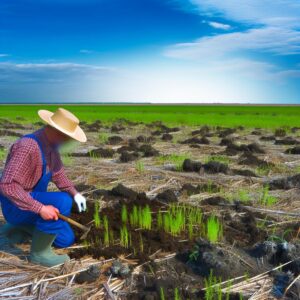 Landschaftswiederherstellung: Was Landwirte wissen müssen