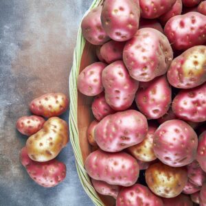 Rekordernte: Frankreichs Kartoffelsegen