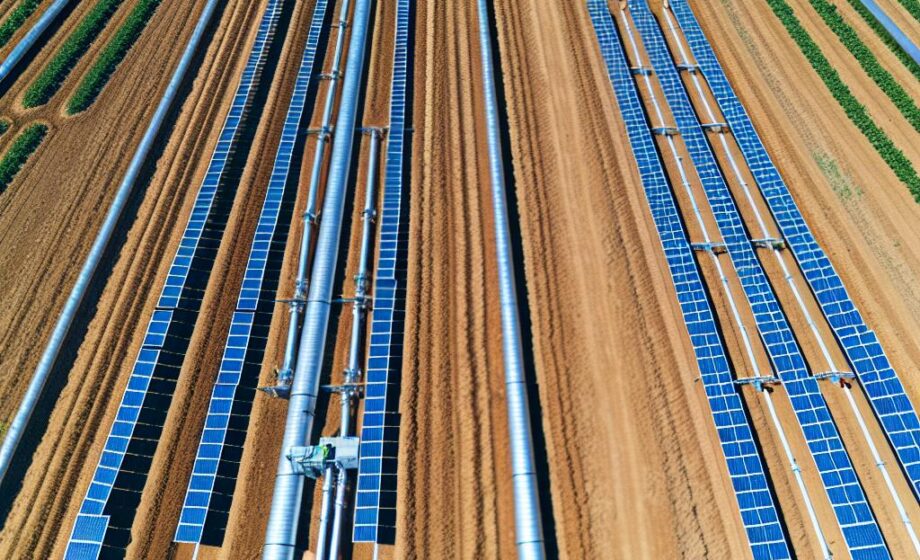 Klimaschutz: Chancen der Agri-Photovoltaik