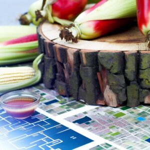 218 neue Agrarunternehmen im Juli gegründet