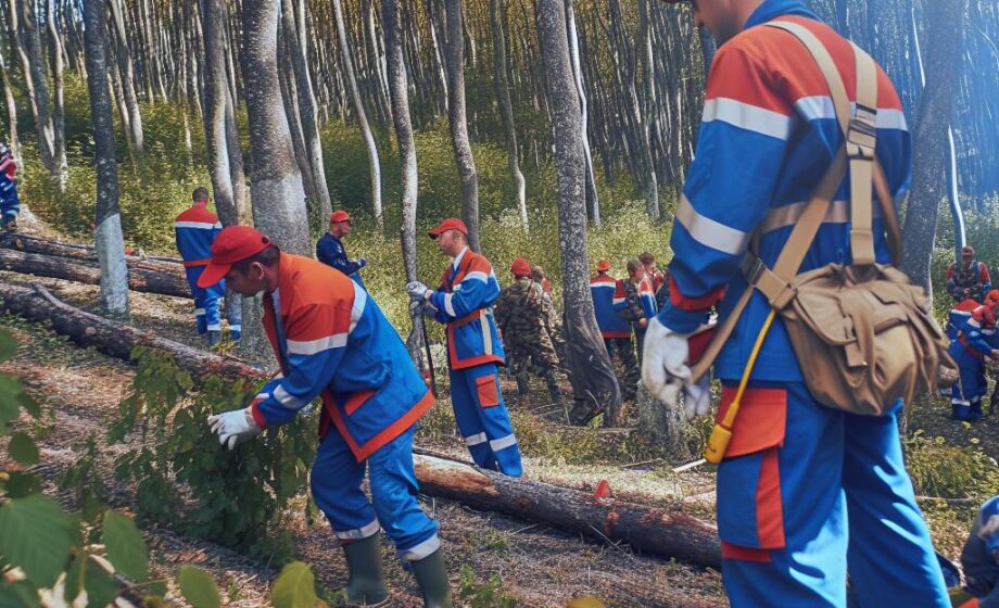 Freiwillige retten Bergwald in Rimpar am 27.09.