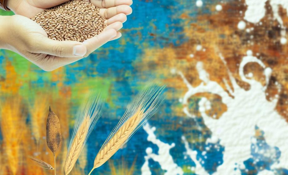 Agrarpreise: Hartweizen im Krisenmodus, Spotmilch fällt