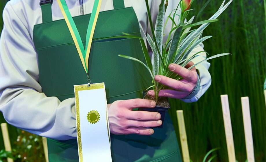 Innovationspreis Gartenbau 2025: Rainer ehrt Gewinner