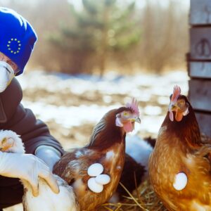 EU verlängert Schutzmaßnahmen gegen Vogelgrippe um ein Jahr