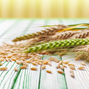 Stickstoffeffizienz in Getreide durch Biostimulanzien