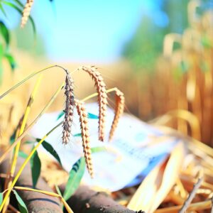 Der Agro-Info-Punkt – Magazin für Agrarunternehmen