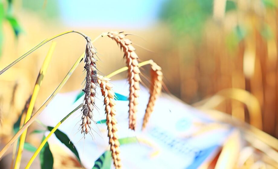 Der Agro-Info-Punkt – Magazin für Agrarunternehmen