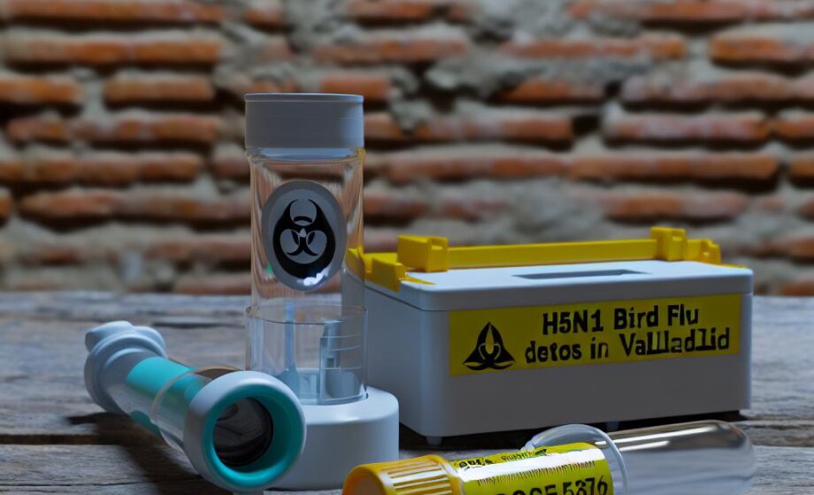 H5N1-Vogelgrippe in Valladolid nachgewiesen