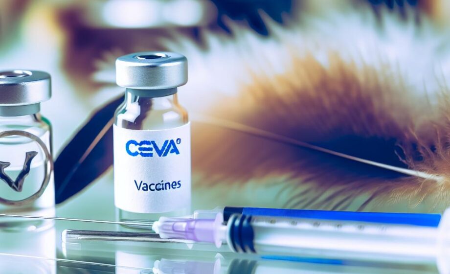 Ceva: Impfstoffe Schlüssel gegen Vogelgrippe