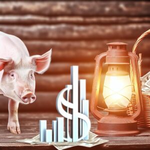 Schweinepreis bleibt stabil