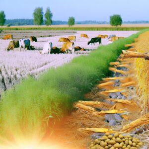 Diversifikation rettet Bauern bei Ertragskrise