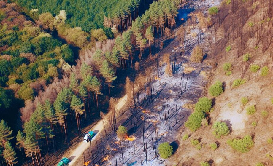 Direkthilfen bis 10.000 Euro nach Waldbränden