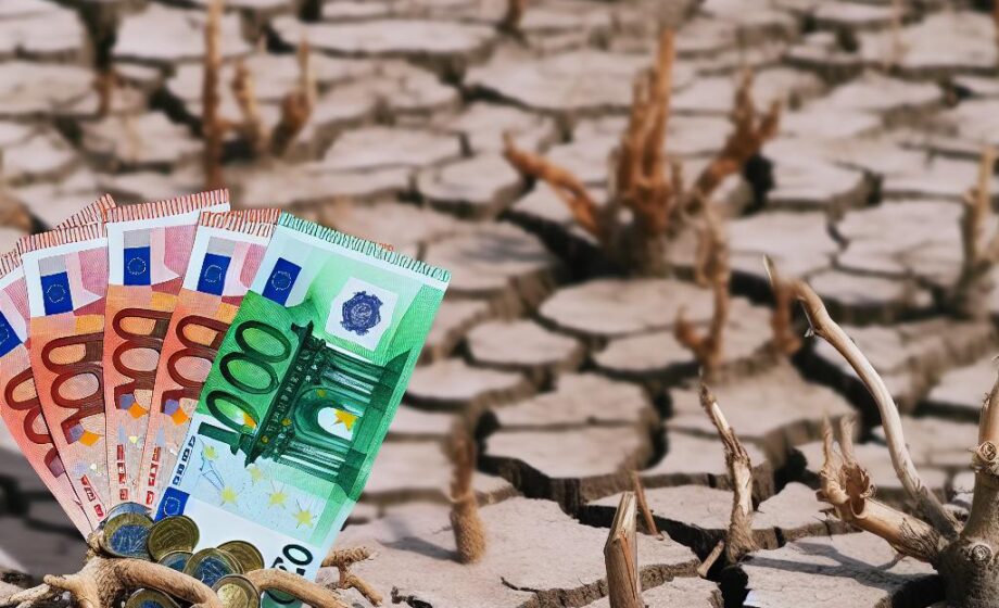 Andalusien: 7,2 Mio. Euro Hilfe bei Dürreschäden