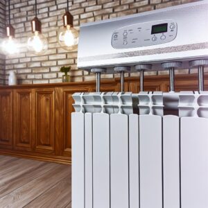 BUND: Günstig und klimaeffizient heizen!