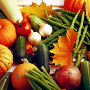 Herbstgemüse günstiger als letztes Jahr