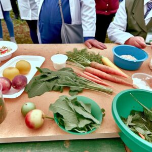 Agrar-Info für Ernährungssystemunternehmen