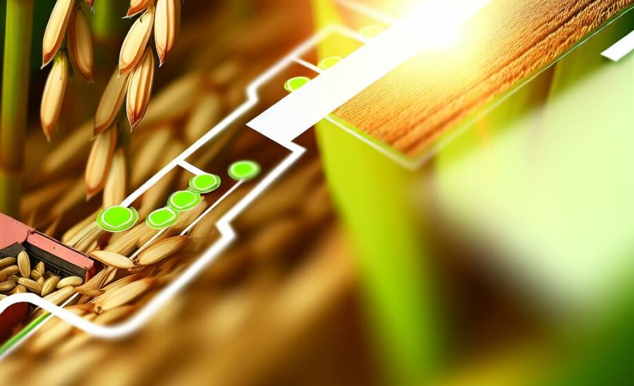 Der Agrarpunkt – Magazin für Landwirtschaftsbetriebe