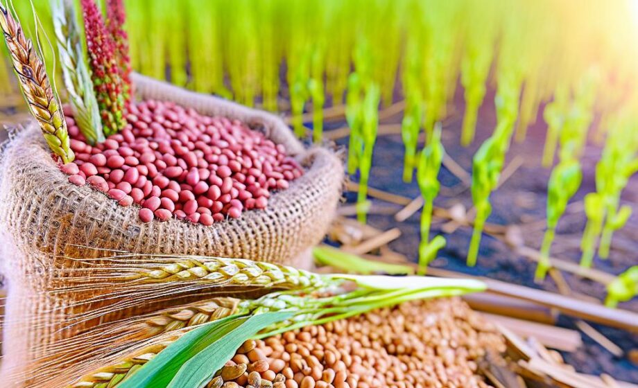 Corteva Agriscience feiert 100 Jahre Pioneer-Saatgut