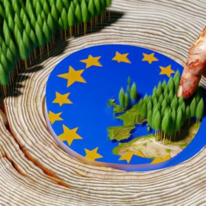 EU passt Gesetz gegen Entwaldung an