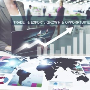 Handel & Export: Wachstum & Chancen